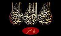 رئیس بیمارستان فاطمه الزهرا (س)، در پیامی فرا رسیدن ایام سوگواری ماه صفر را تسلیت گفت
