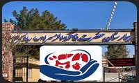  ۶ بیمار مرگ‌مغزی در بیمارستان فاطمه‌الزهرا (س) زندگی‌بخش شدند 